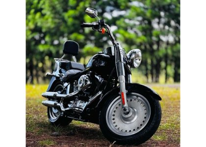 Harley Davidson Flstc