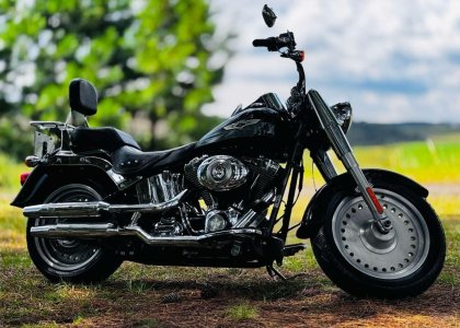 Harley Davidson Flstc
