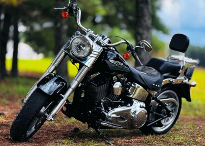 Harley Davidson Flstc