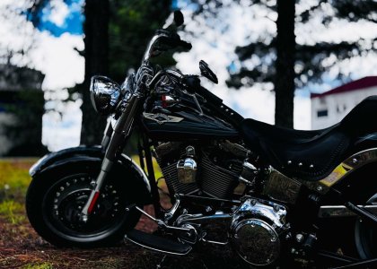 Harley Davidson Flstc