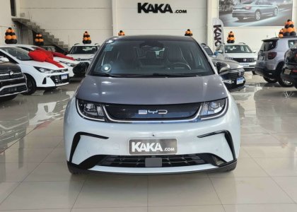 BYD TAN