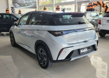 BYD TAN