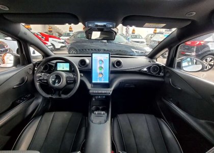 BYD TAN